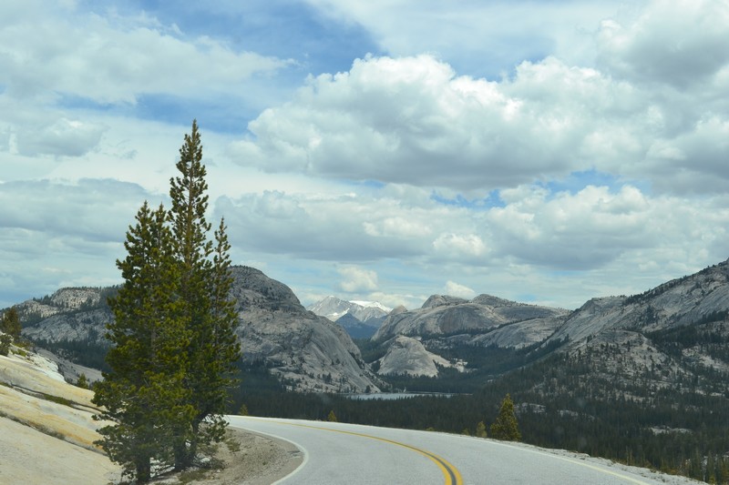 Yosemite, Californie, parc, tioga road