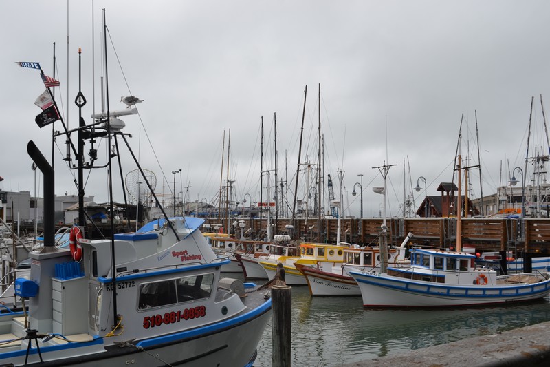 San Francisco, piers, wharf fisherman, californie