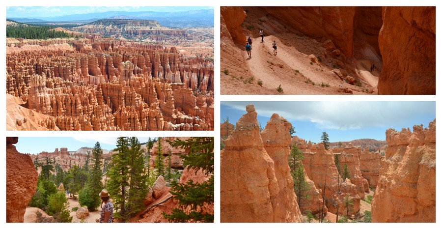 Visite Bryce Canyon