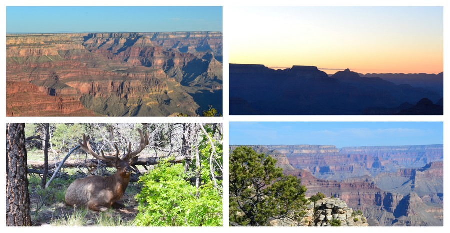 Visite Grand Canyon