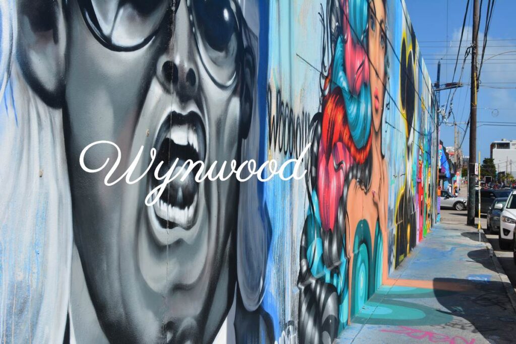 Wynwood Street Art