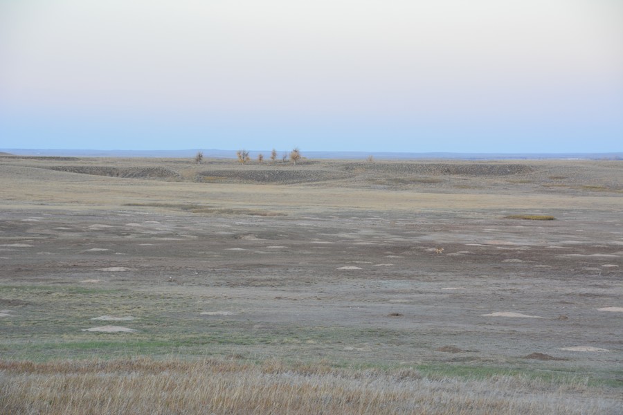 prairie infinie à Baldlands National Park
