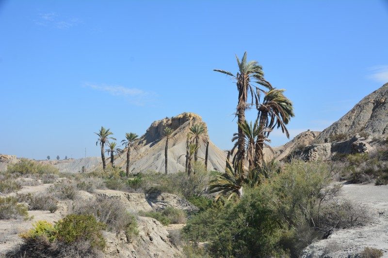 photo oasis désert Tabernas