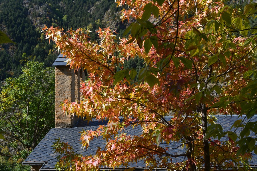couleurs automne Sanctuaire de Meritxell