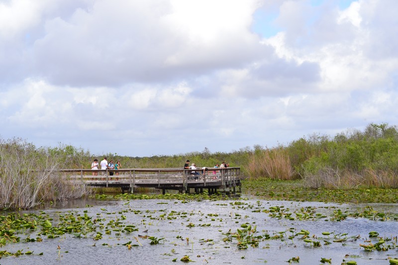 Parc national Everglades