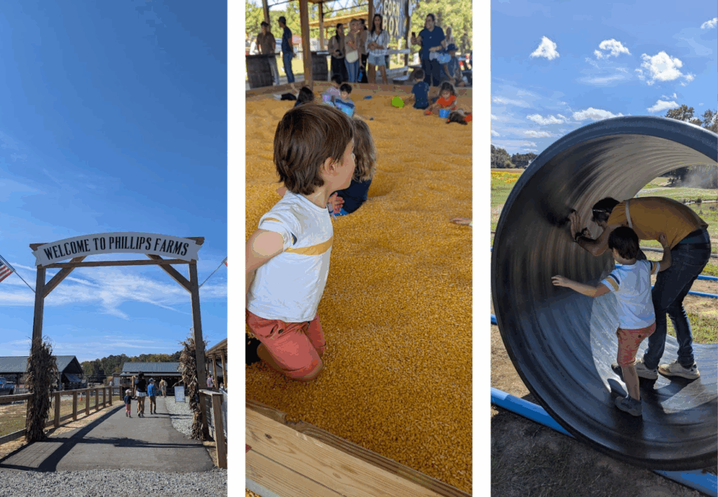pumpkin patch Caroline du Nord