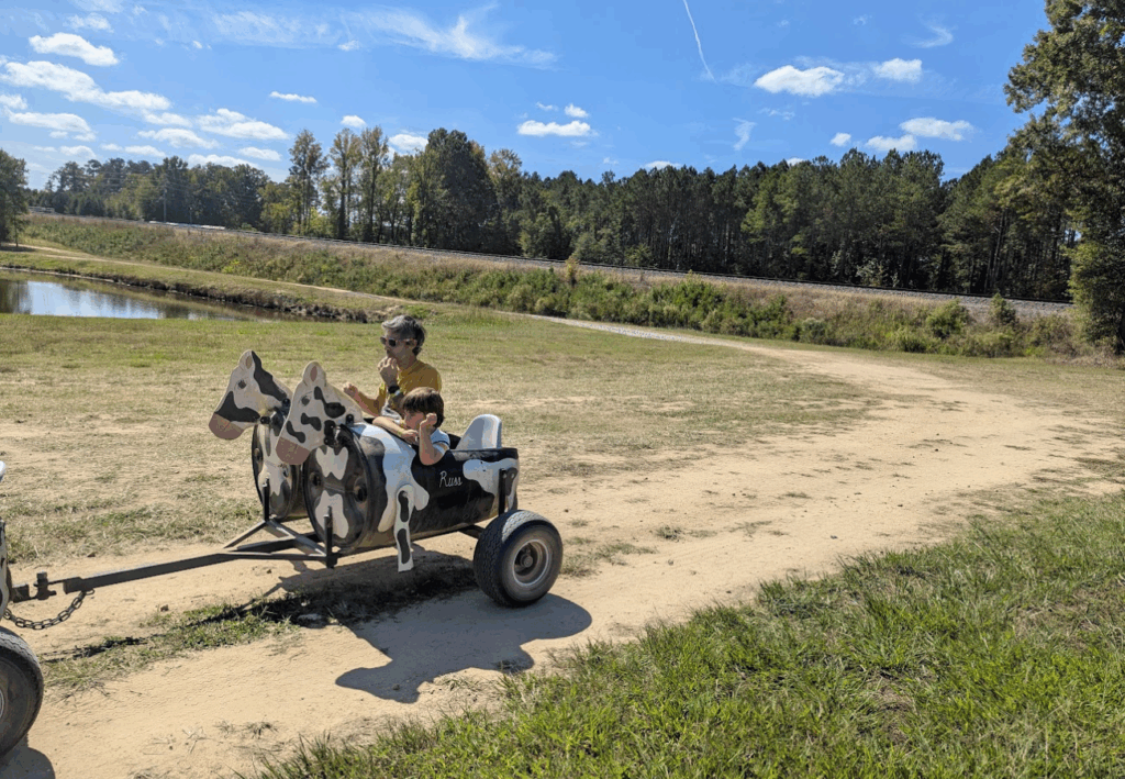 pumpkin patch Caroline du Nord