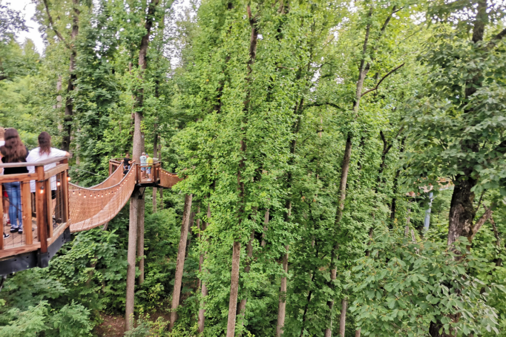 Visite de Gatlinburg