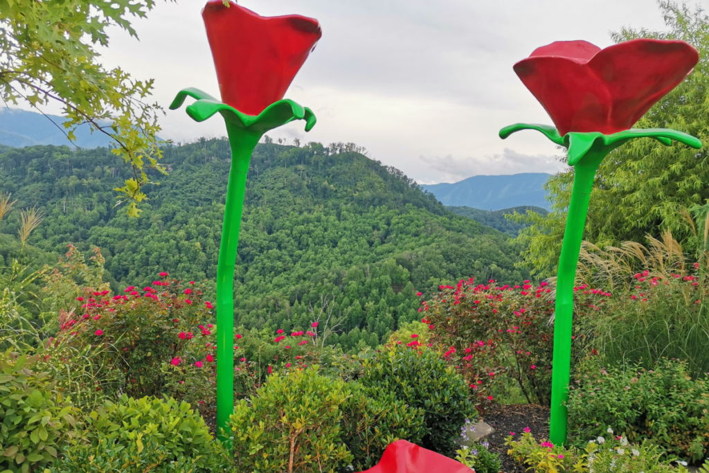 Visite de Gatlinburg