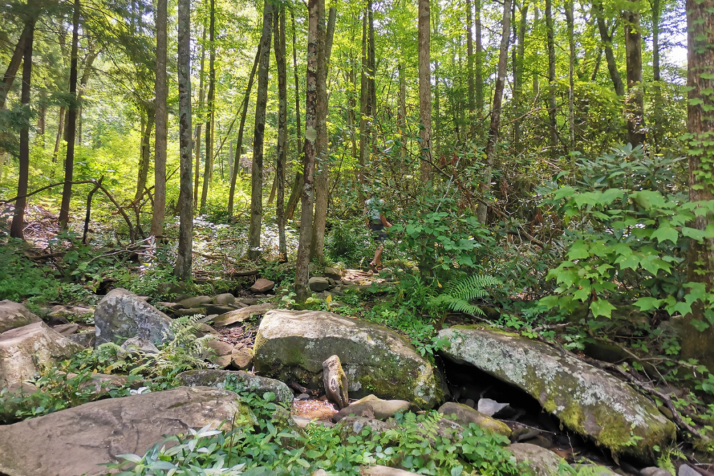 Visite de Gatlinburg