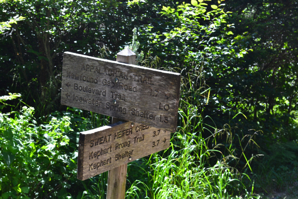 visite parc national des Smoky Mountains