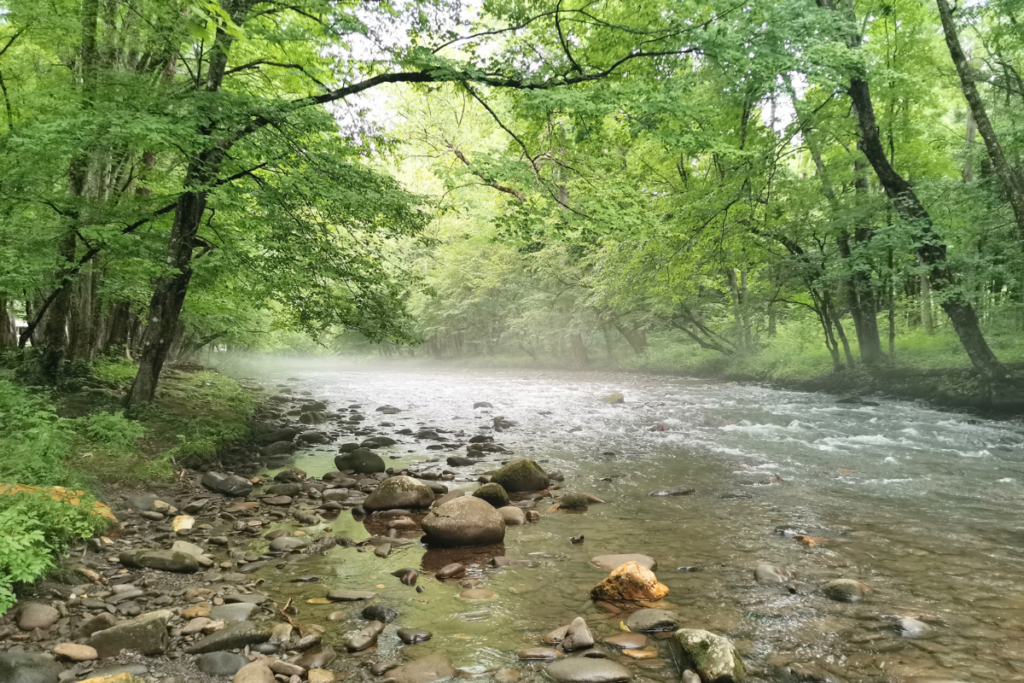 visite parc national des Smoky Mountains