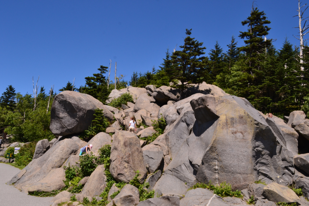 visite parc national des Smoky Mountains