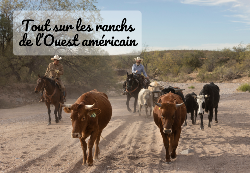 Séjour dans un ranch américain en Arizona