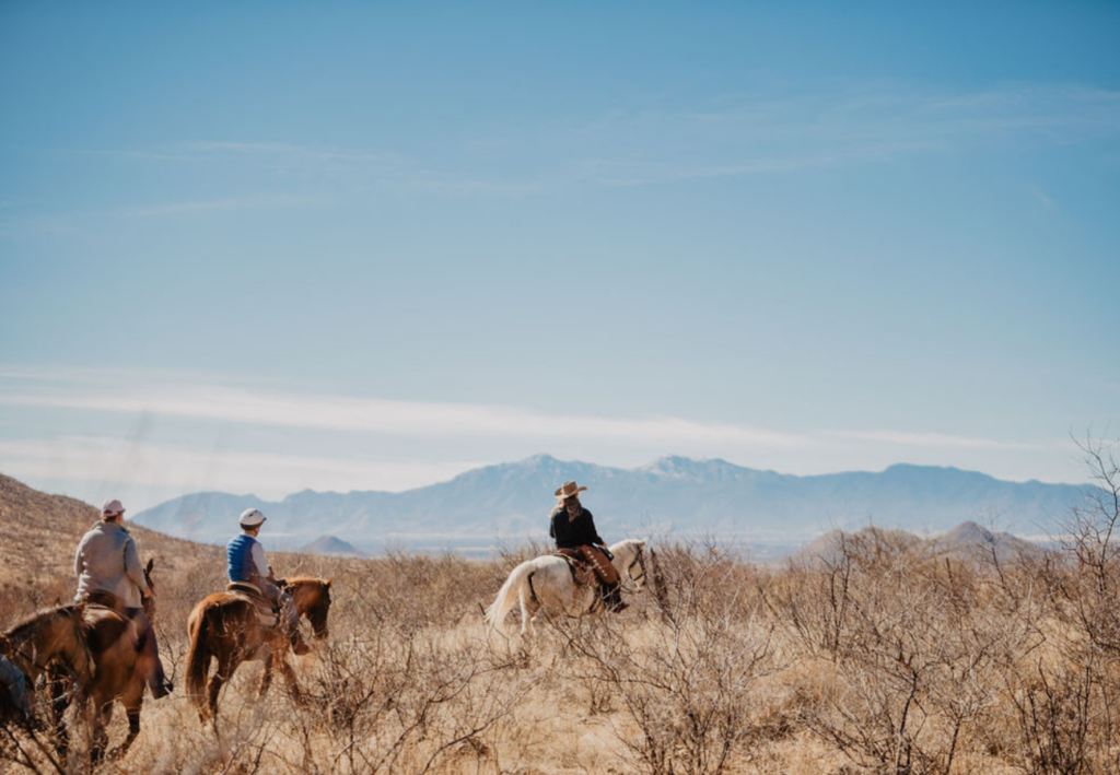 Randonée à cheval ranch Arizona