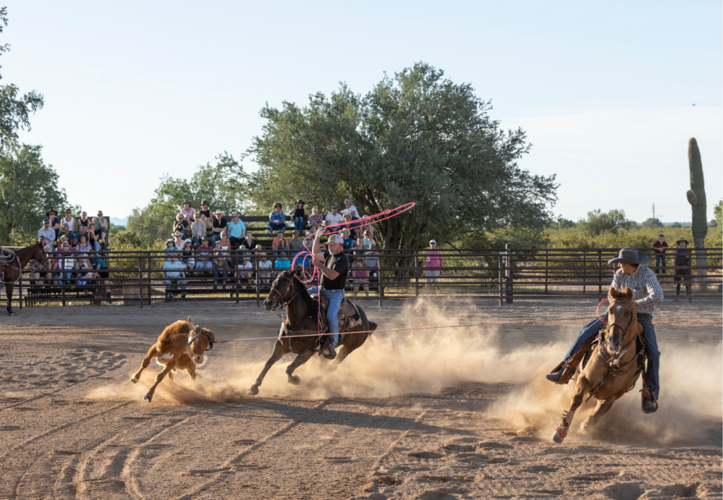 Démonstration de rodéo dans un ranch américain des Rocheuses