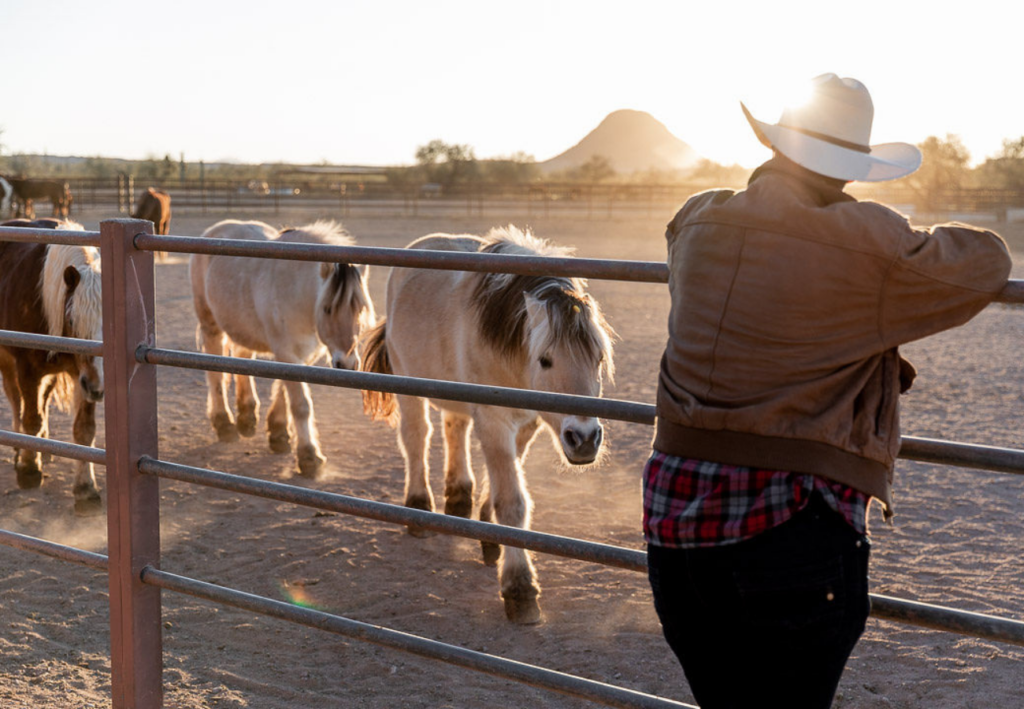 Vivre avec les cowboys ranch américain