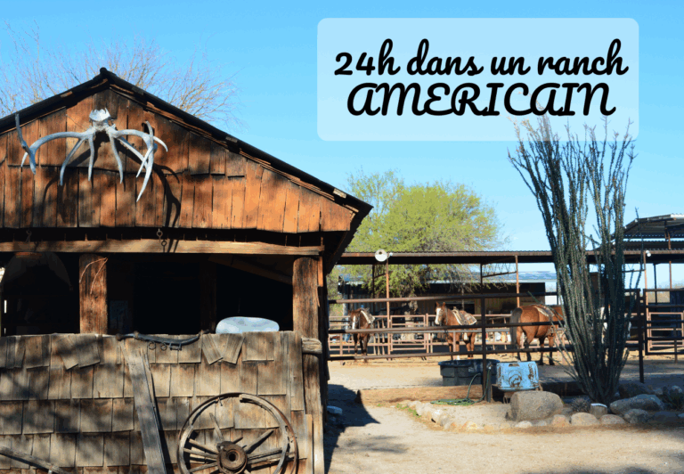24h dans un ranch américain