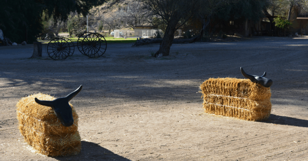 Jouer au cowboy dans un ranch américain