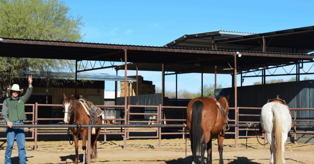 Chevaux avant balade ranch américain
