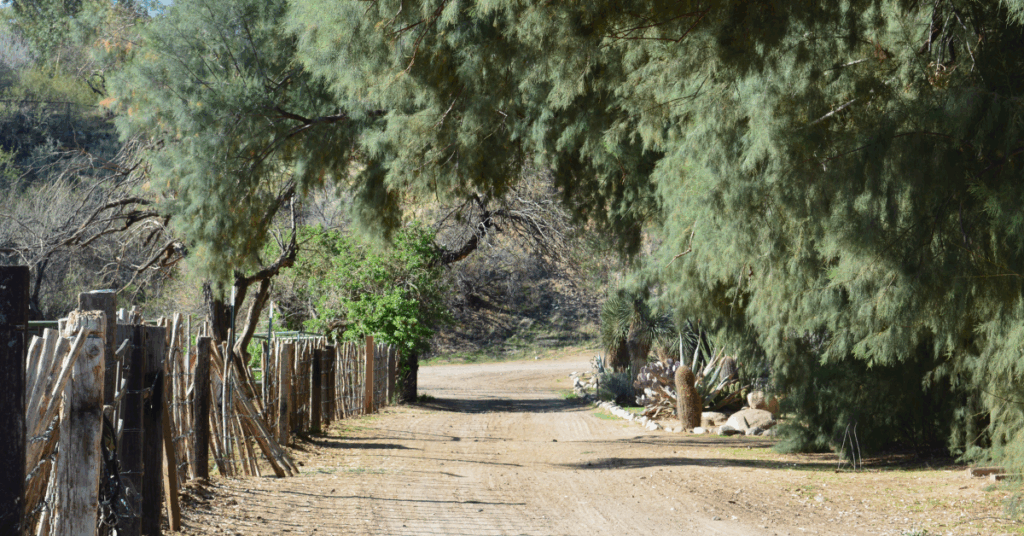 allée conduisant à un ranch américain