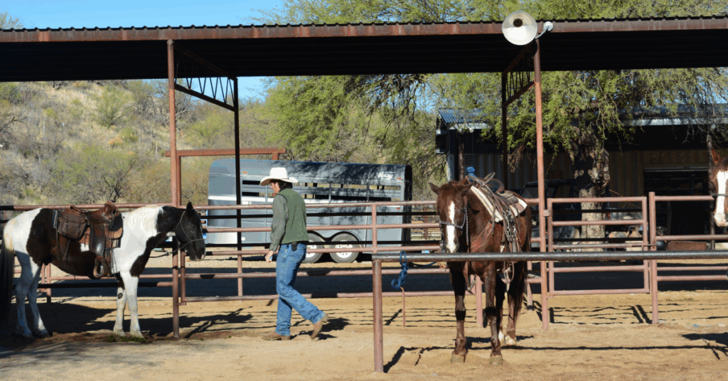 Wrangler et ses chevaux, ranch américain