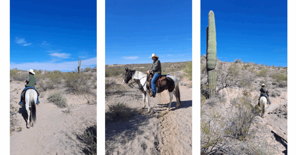 Randonnée à cheval ranch américain