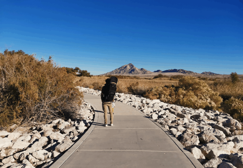 Clark County Wetlands Park