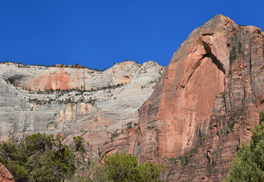 Conseils visite parc national de Zion