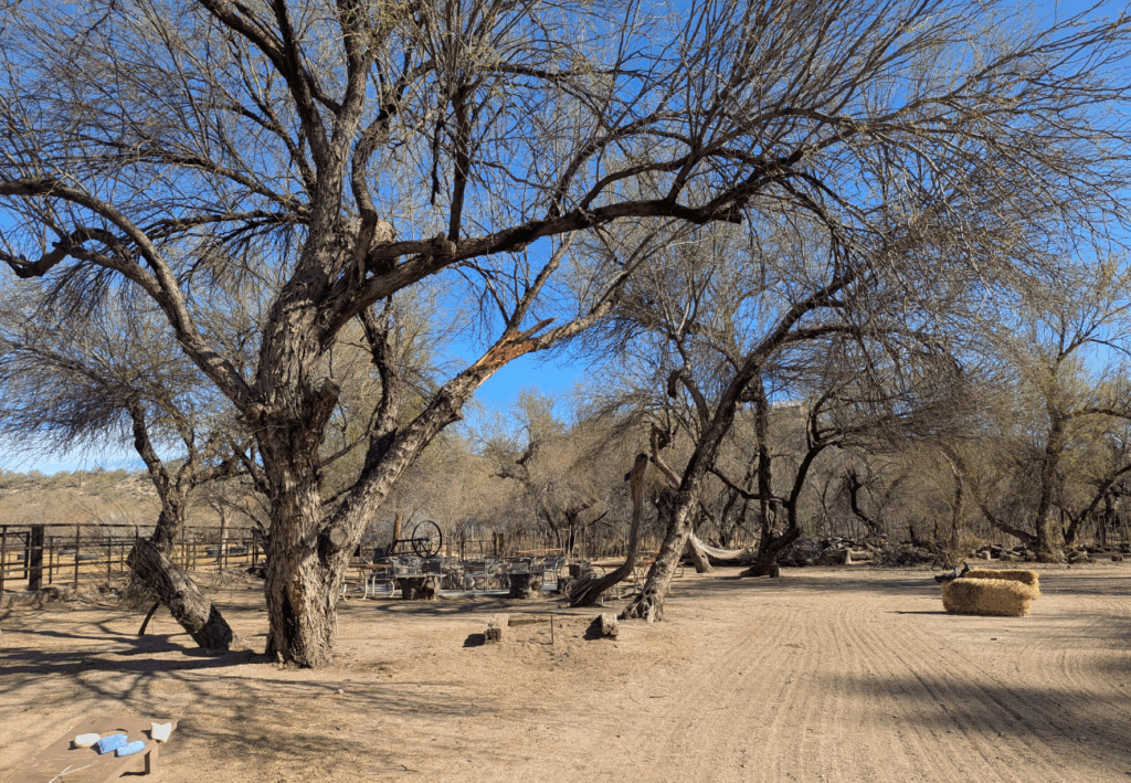 séjour dans un ranch américain