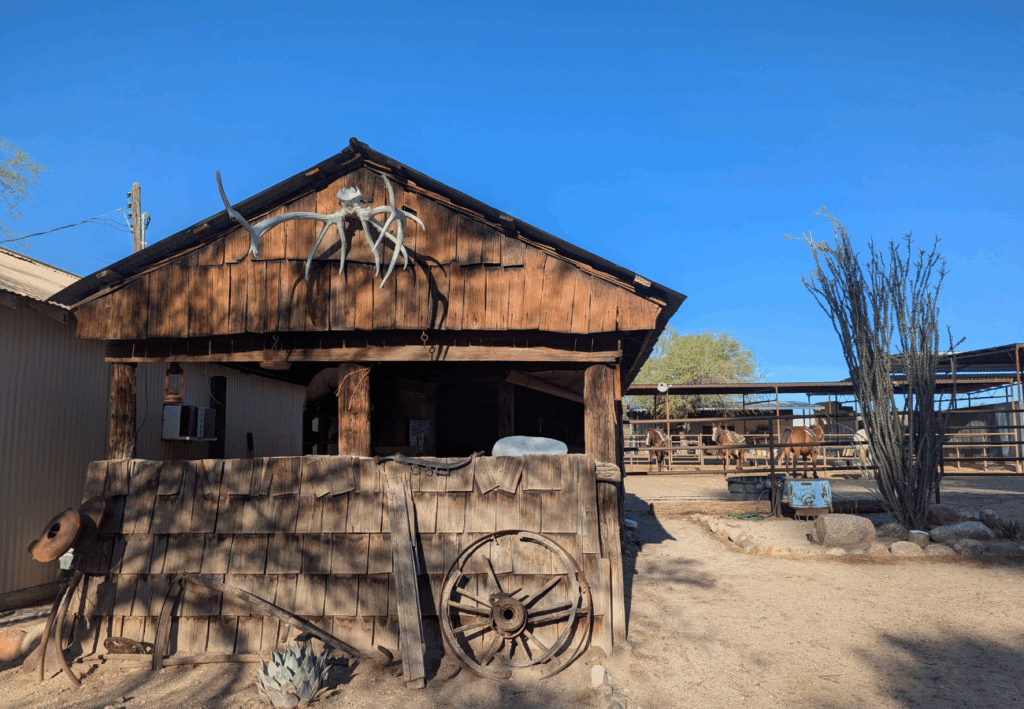 séjour dans un ranch américain