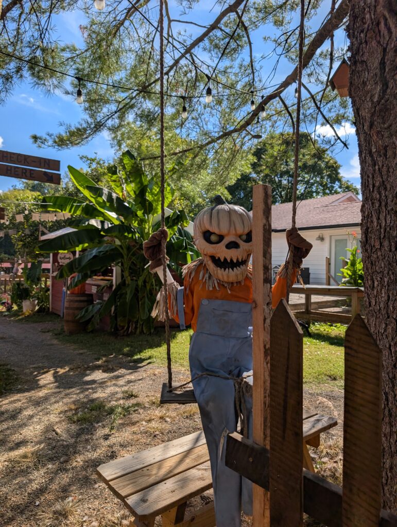 Spring Haven Farm Fall
