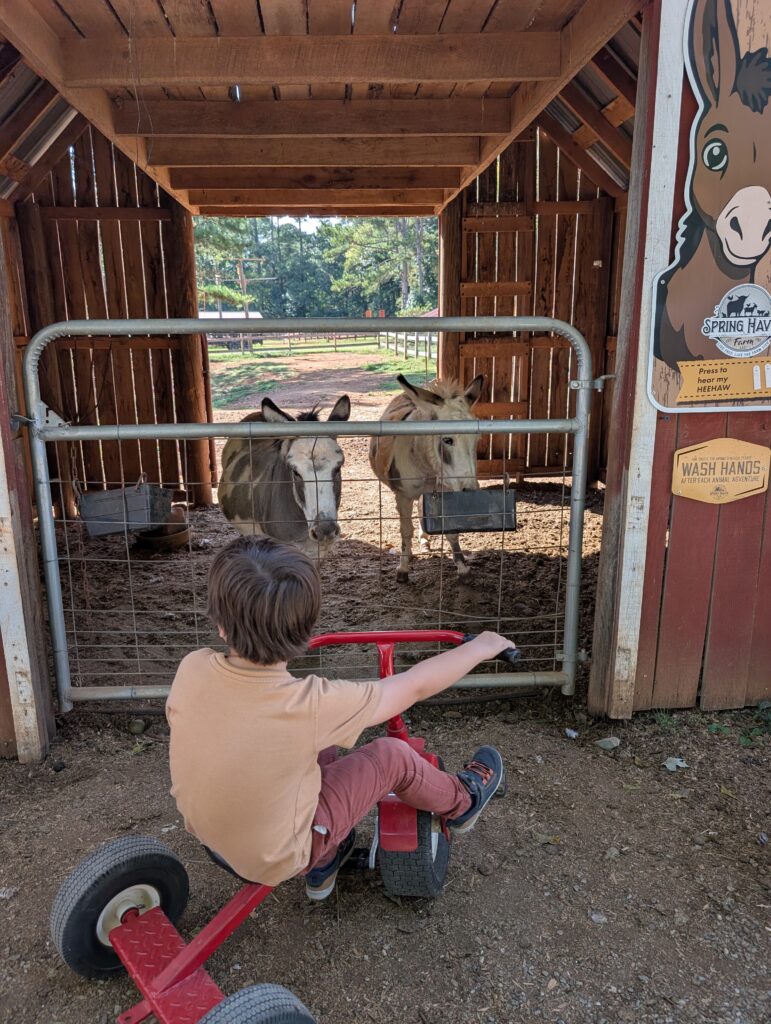 Spring Haven Farm Fall